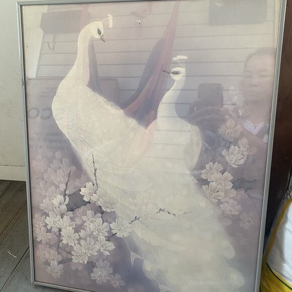 VTG Art Print White Peacock Lovers On Cheery Blossom Tree 16'x20"  Framed Signed - Picture 1 of 6